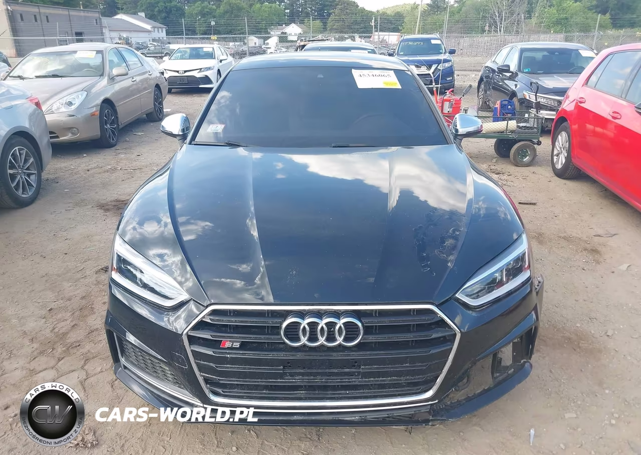 2019 Audi S5 3.0T Premium VIN:WAUA4CF51KA065219 - 12