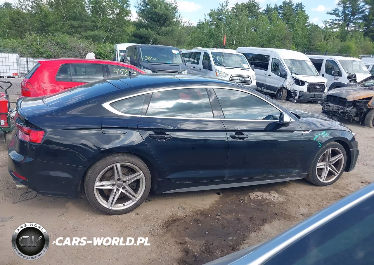 2019 Audi S5 3.0T Premium VIN:WAUA4CF51KA065219 - 13