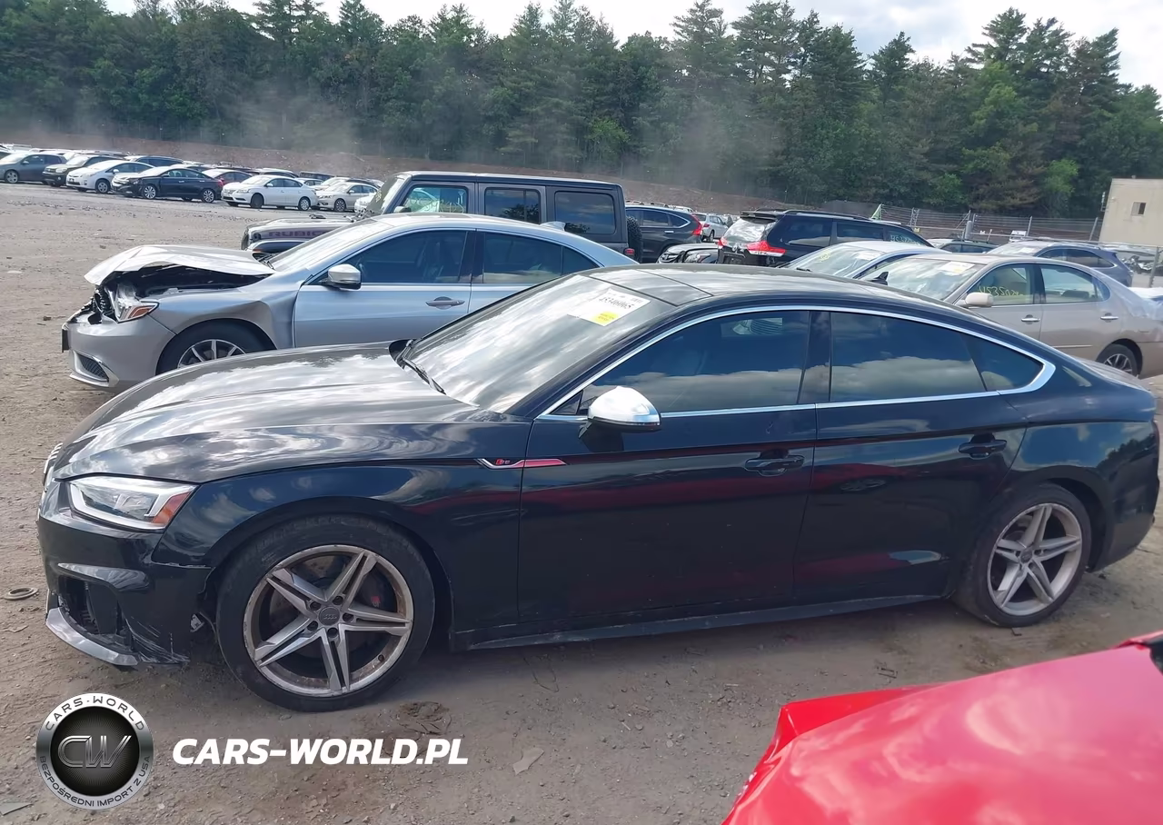 2019 Audi S5 3.0T Premium VIN:WAUA4CF51KA065219 - 14