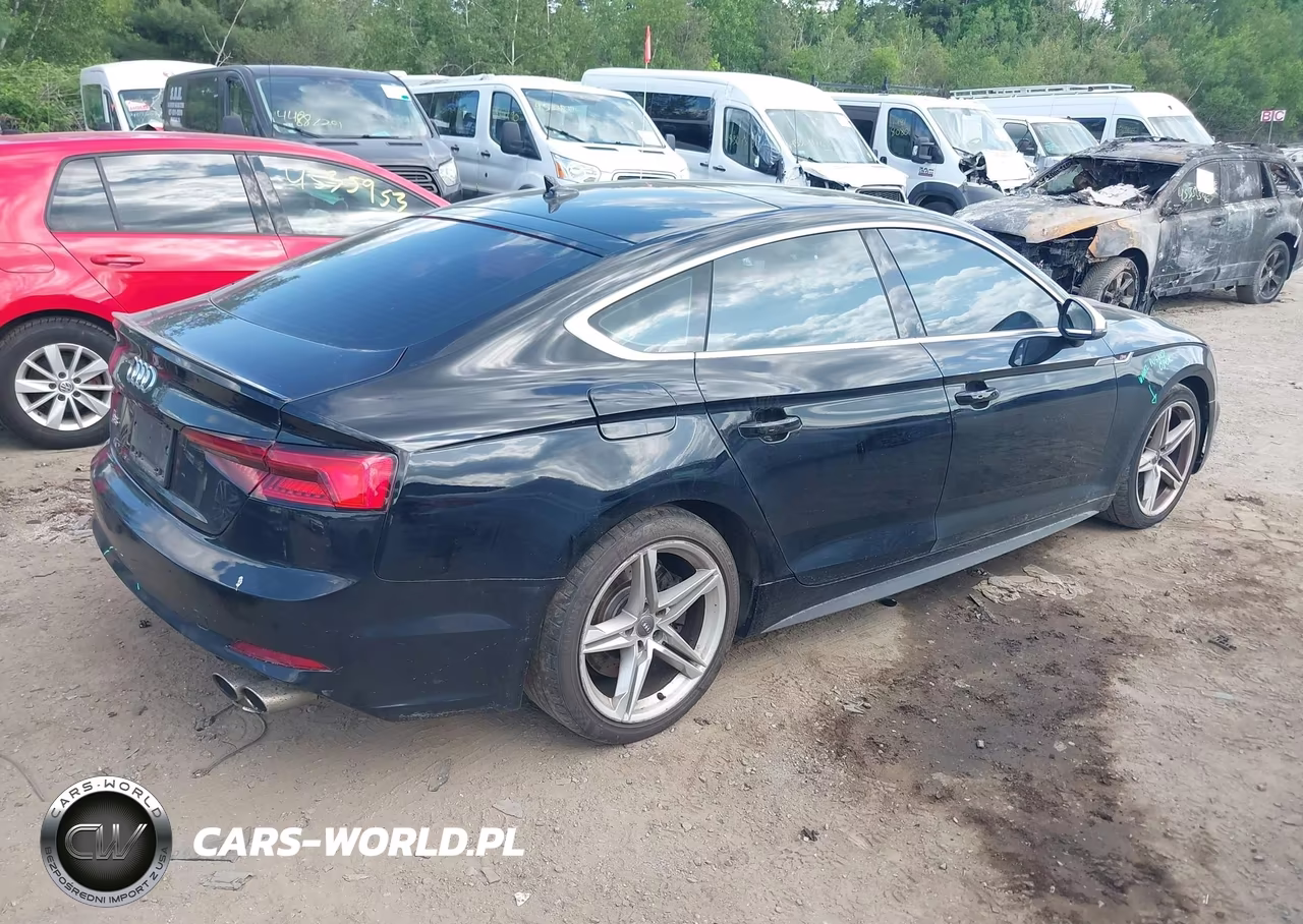 2019 Audi S5 3.0T Premium VIN:WAUA4CF51KA065219 - 4