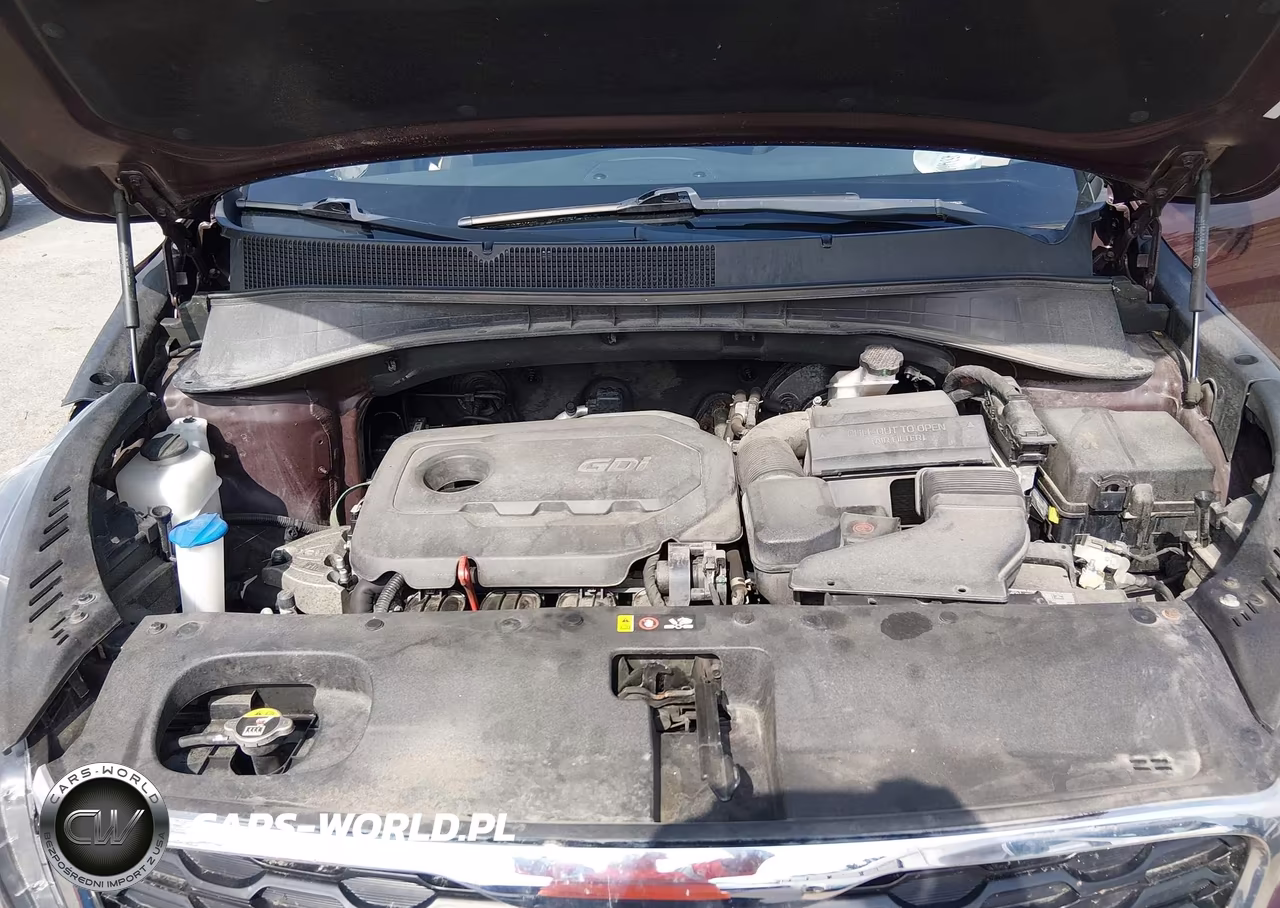 2019 Kia Sorento 2.4L Lx VIN:5XYPGDA37KG549220 - 10