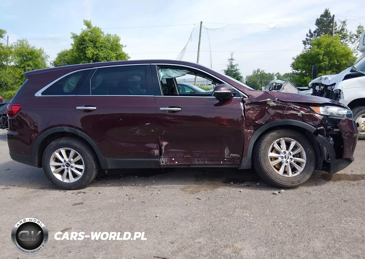 2019 Kia Sorento 2.4L Lx VIN:5XYPGDA37KG549220 - 13