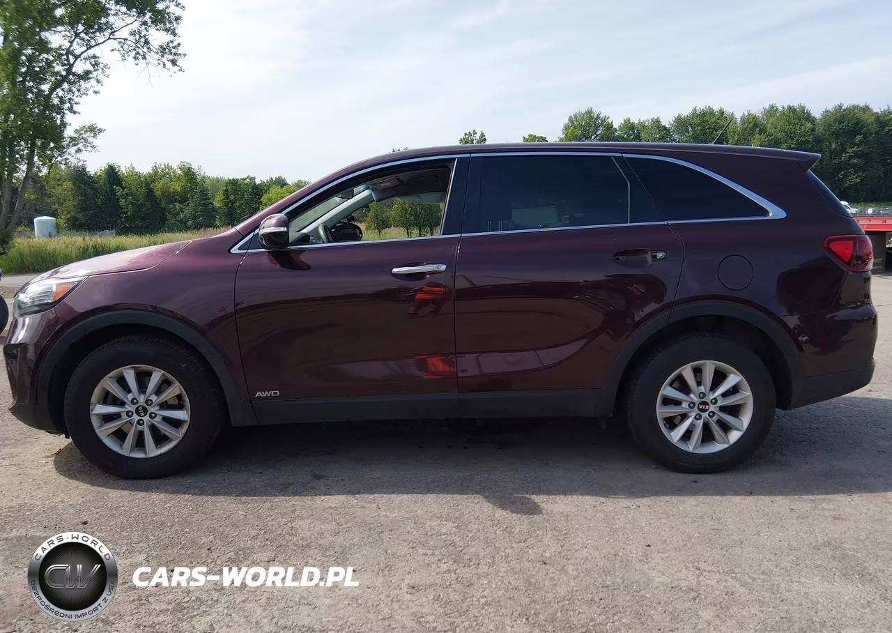 2019 Kia Sorento 2.4L Lx VIN:5XYPGDA37KG549220 - 14