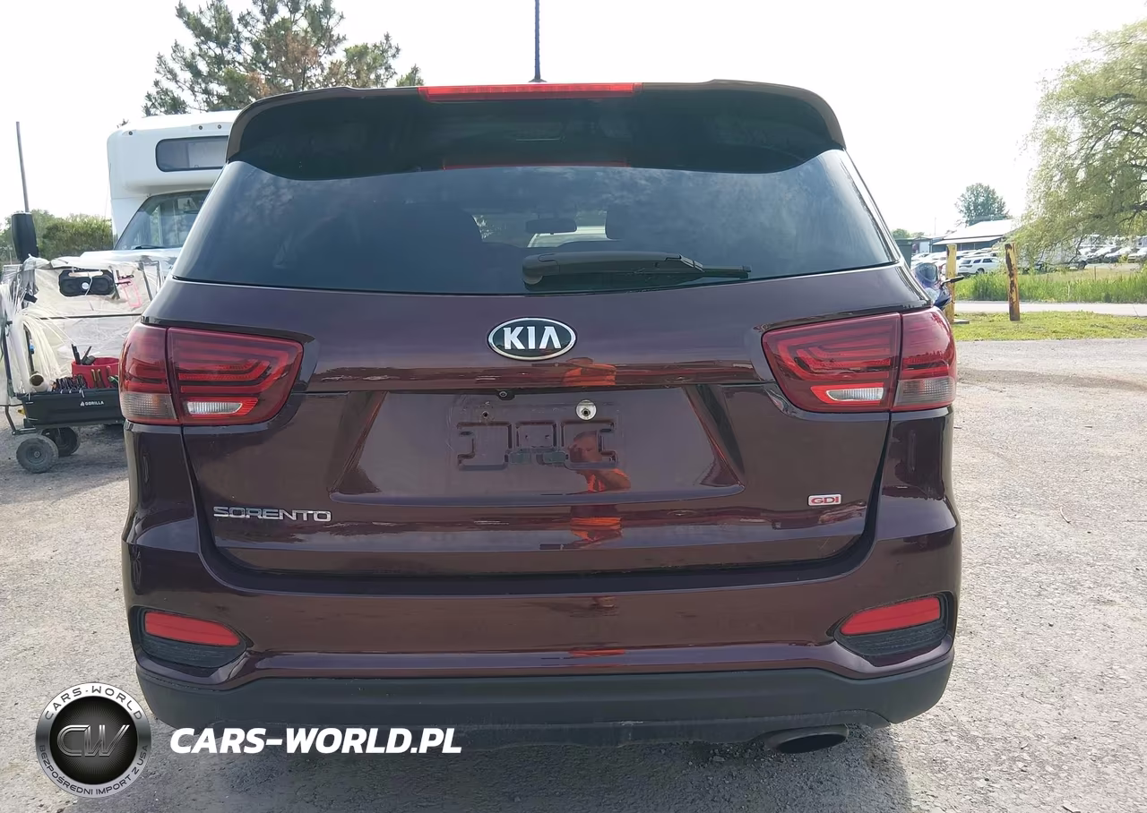 2019 Kia Sorento 2.4L Lx VIN:5XYPGDA37KG549220 - 16
