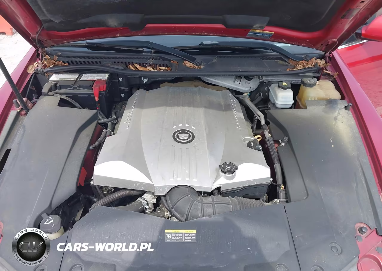 2009 Cadillac Sts Rwd W-1Se VIN:1G6DZ67A290173057 - 10
