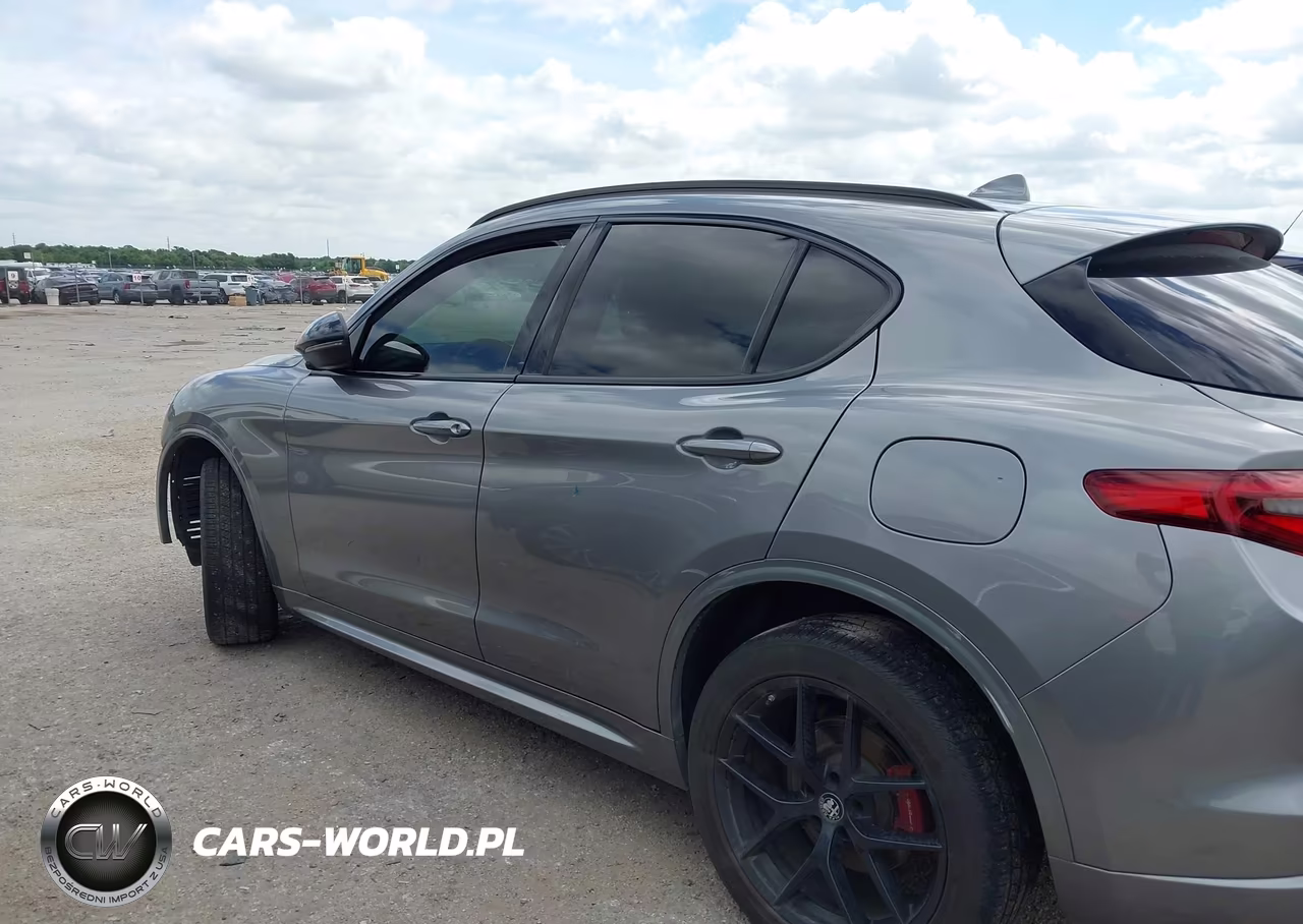 2020 Alfa Romeo Stelvio Sport Rwd VIN:ZASPAJANXL7C86213 - 14