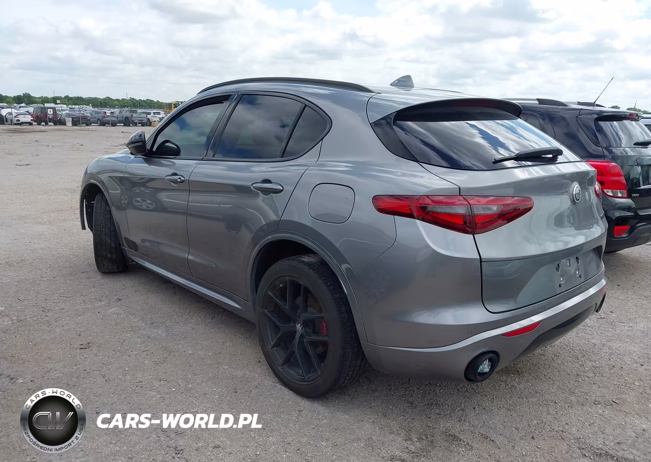 2020 Alfa Romeo Stelvio Sport Rwd VIN:ZASPAJANXL7C86213 - 3