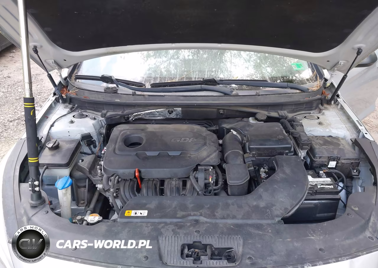 2016 Hyundai Sonata Se VIN:5NPE24AF0GH332947 - 10