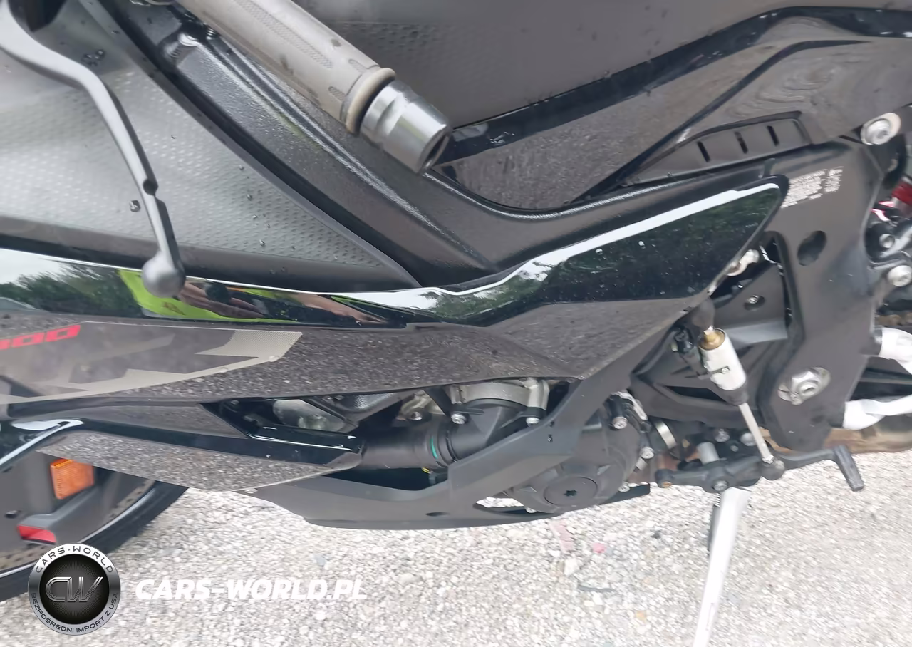 2025 BMW S 1000 Rr VIN:WB10P2305S6L85944 - 9