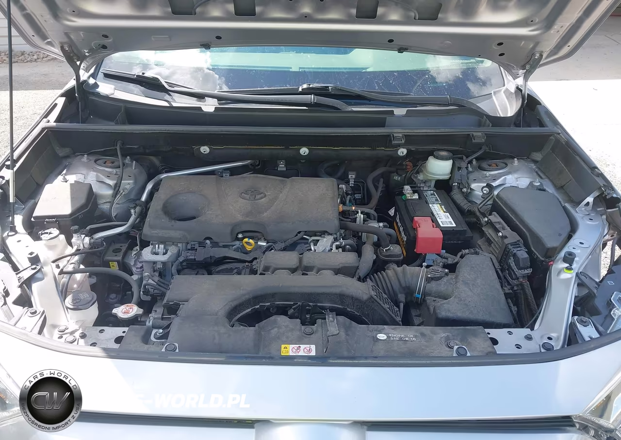 2019 Toyota Rav4 Xle Premium VIN:JTMA1RFV5KD036187 - 10