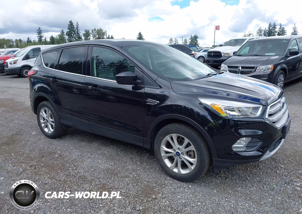 2019 Ford Escape Se