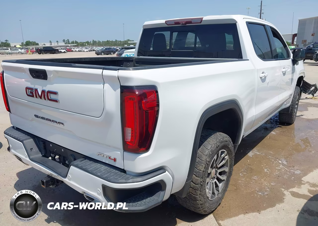 2021 GMC Sierra 1500 4Wd Short Box At4 VIN:3GTU9EET4MG185579 - 4