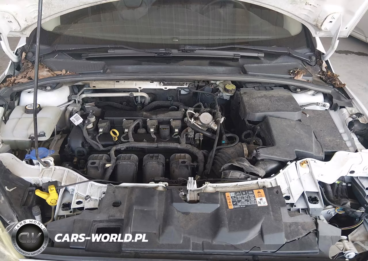 2016 Ford Focus Se VIN:1FADP3K24GL332549 - 10