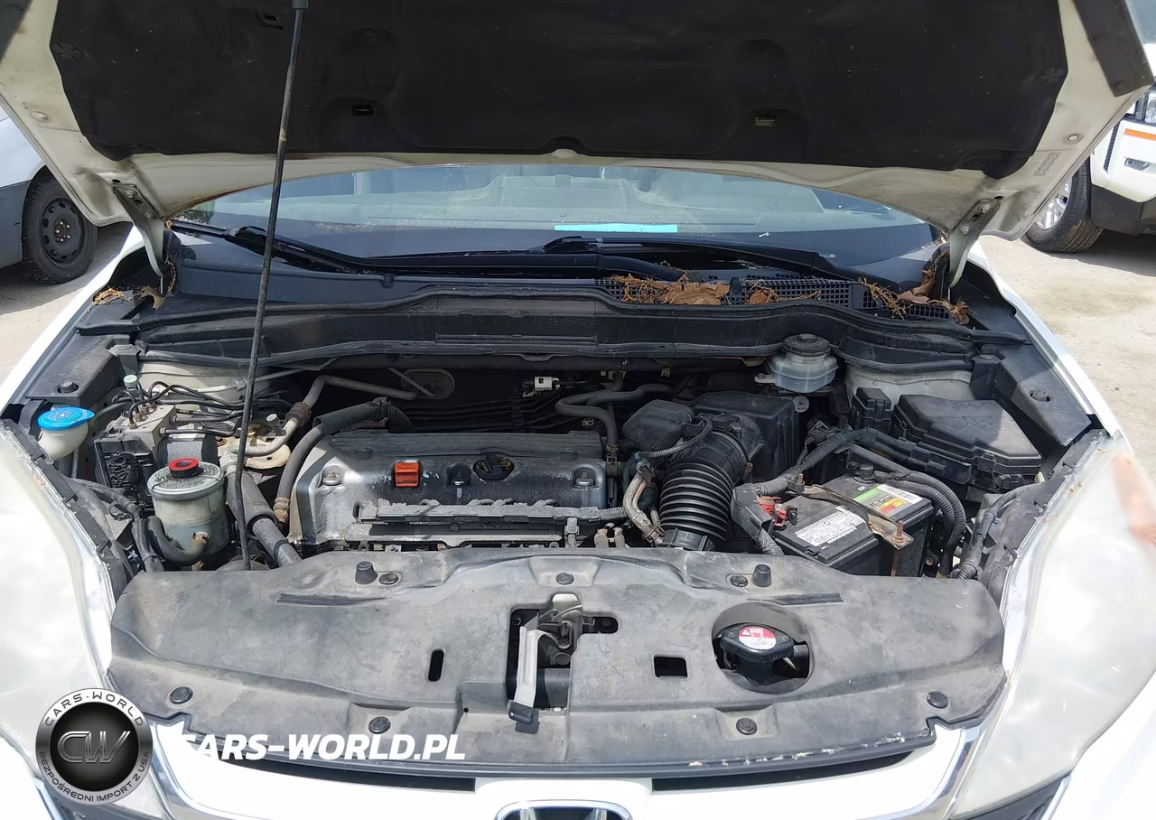 2010 Honda Cr-V Ex-L VIN:5J6RE4H73AL011165 - 10