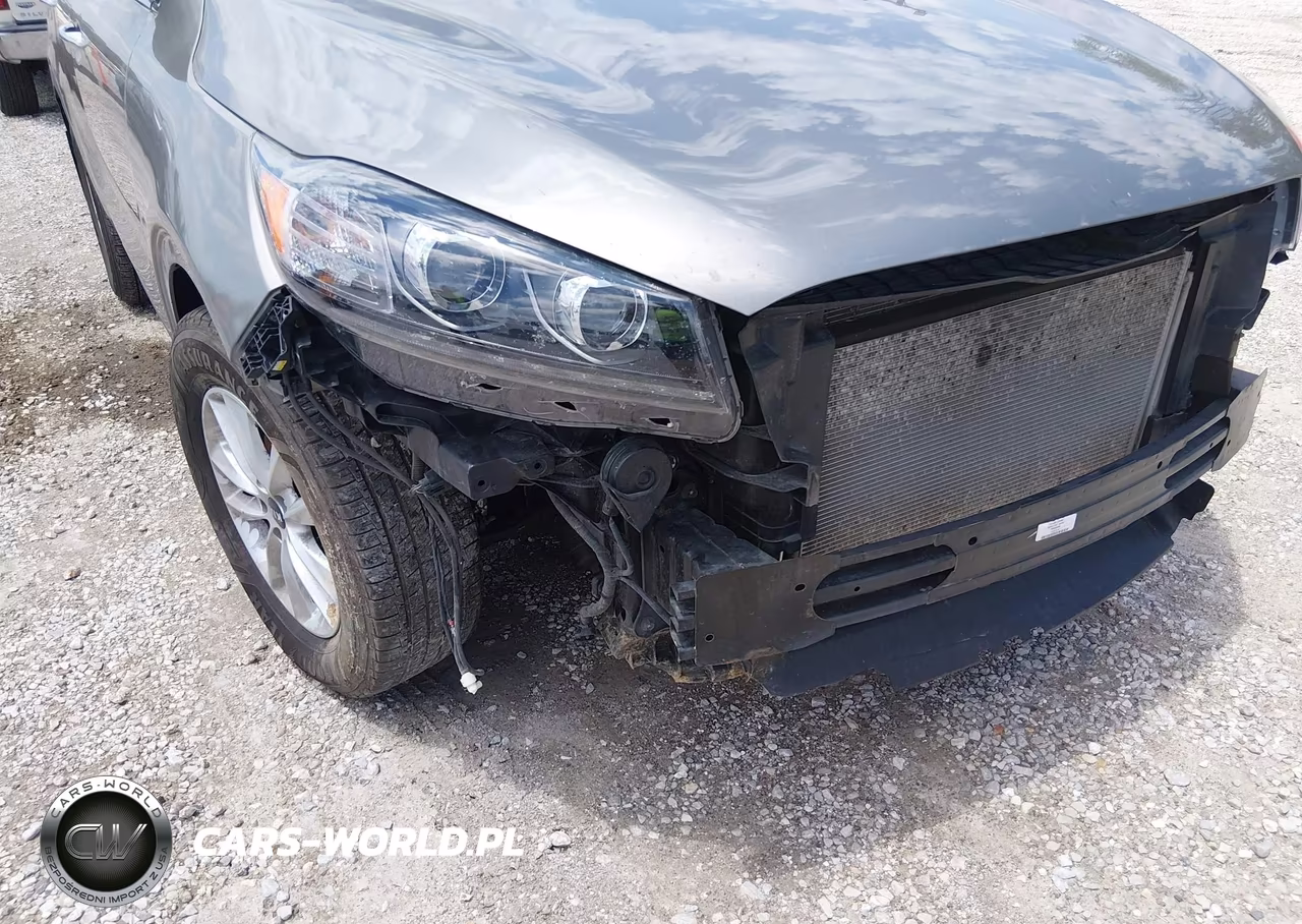 2019 Kia Sorento 3.3L Lx VIN:5XYPGDA52KG546677 - 17