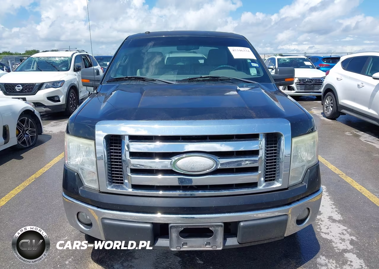 2009 Ford F-150 Xl-Xlt VIN:1FTRW12859FA46173 - 12