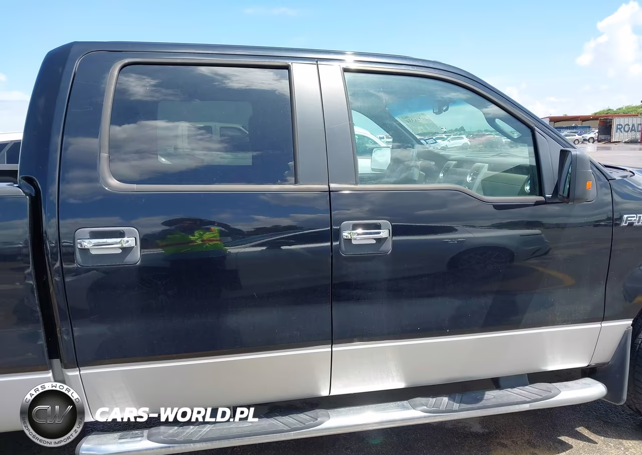 2009 Ford F-150 Xl-Xlt VIN:1FTRW12859FA46173 - 13