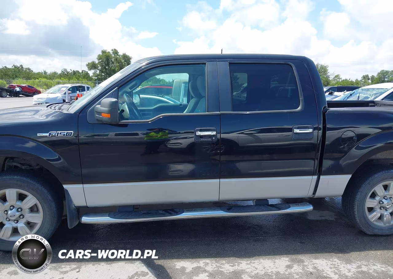 2009 Ford F-150 Xl-Xlt VIN:1FTRW12859FA46173 - 14