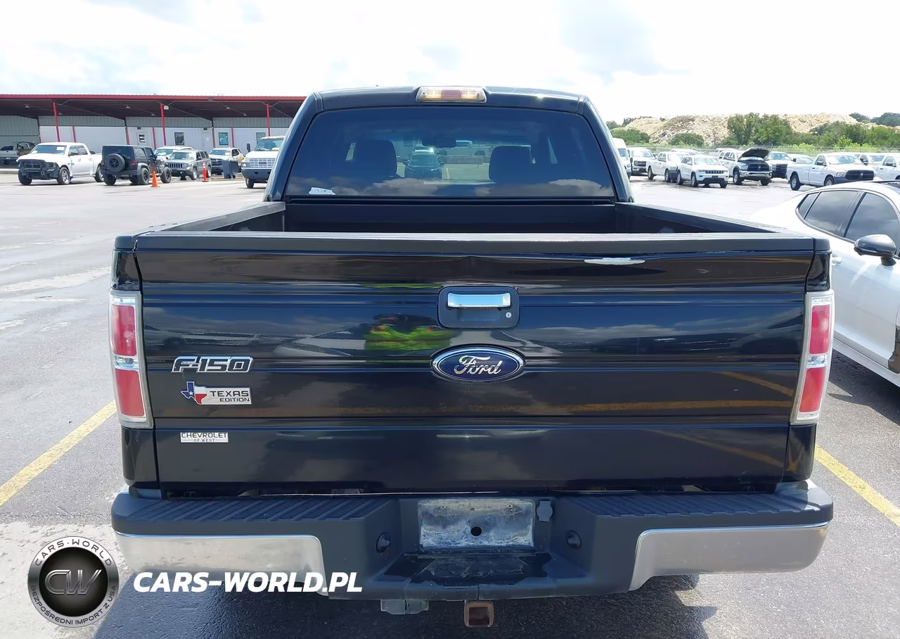 2009 Ford F-150 Xl-Xlt VIN:1FTRW12859FA46173 - 16