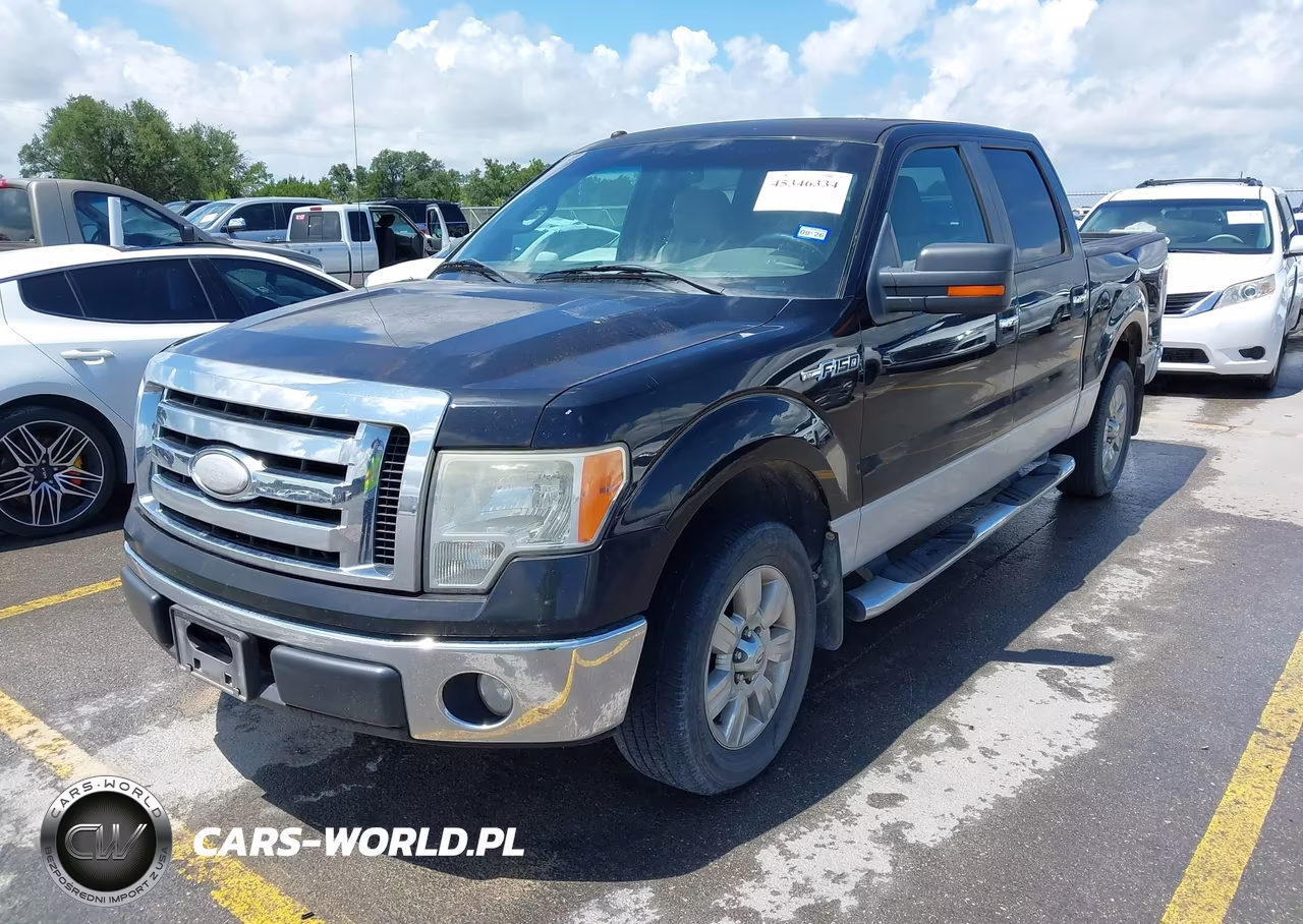 2009 Ford F-150 Xl-Xlt VIN:1FTRW12859FA46173 - 2