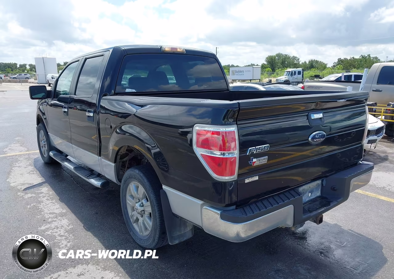 2009 Ford F-150 Xl-Xlt VIN:1FTRW12859FA46173 - 3
