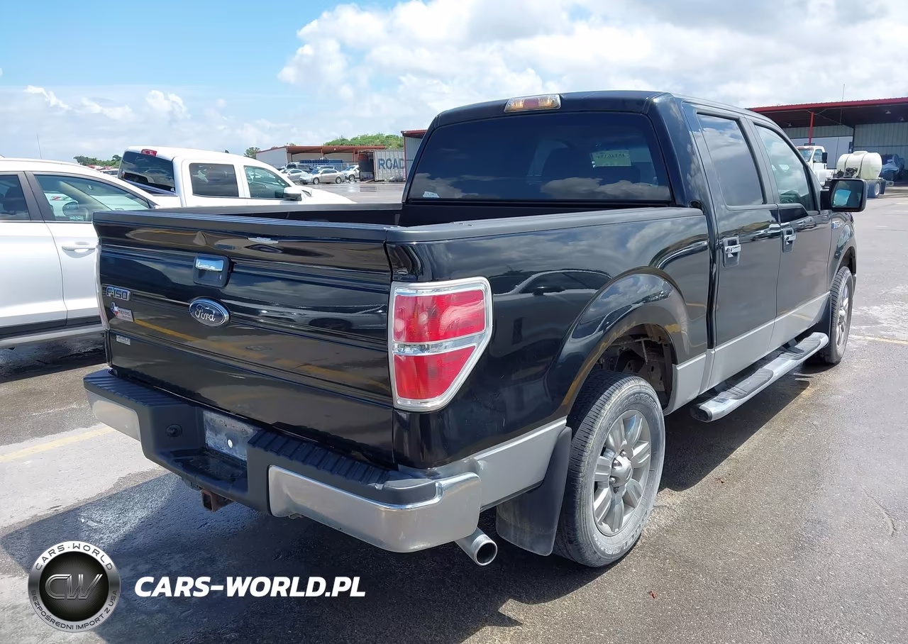 2009 Ford F-150 Xl-Xlt VIN:1FTRW12859FA46173 - 4