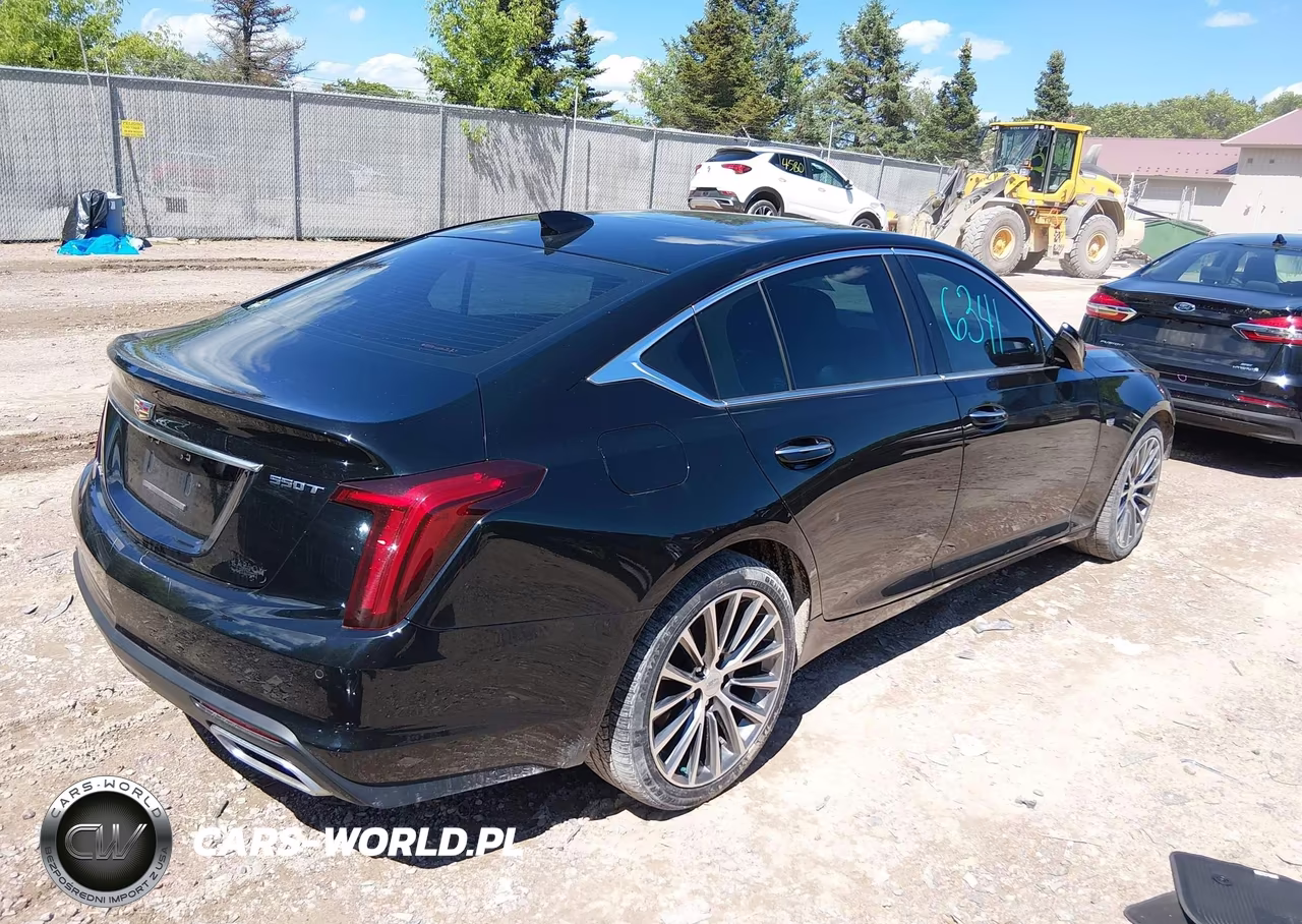 2020 Cadillac Ct5 Premium Luxury VIN:1G6DT5RW3L0143965 - 4