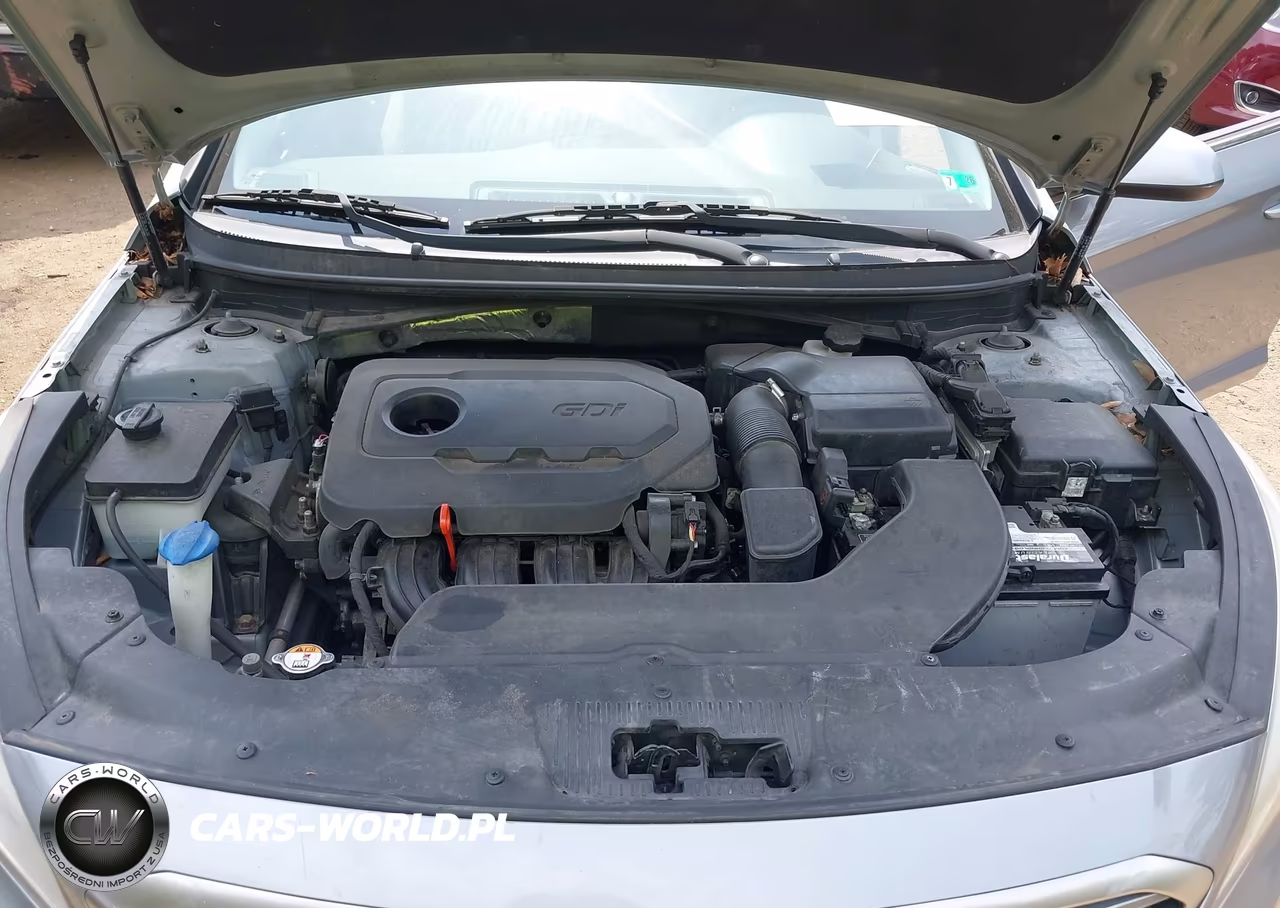 2015 Hyundai Sonata Se VIN:5NPE24AF2FH172424 - 10