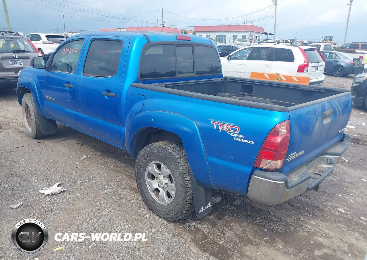 2005 Toyota Tacoma Base V6 VIN:5TELU42N95Z041851 - 3
