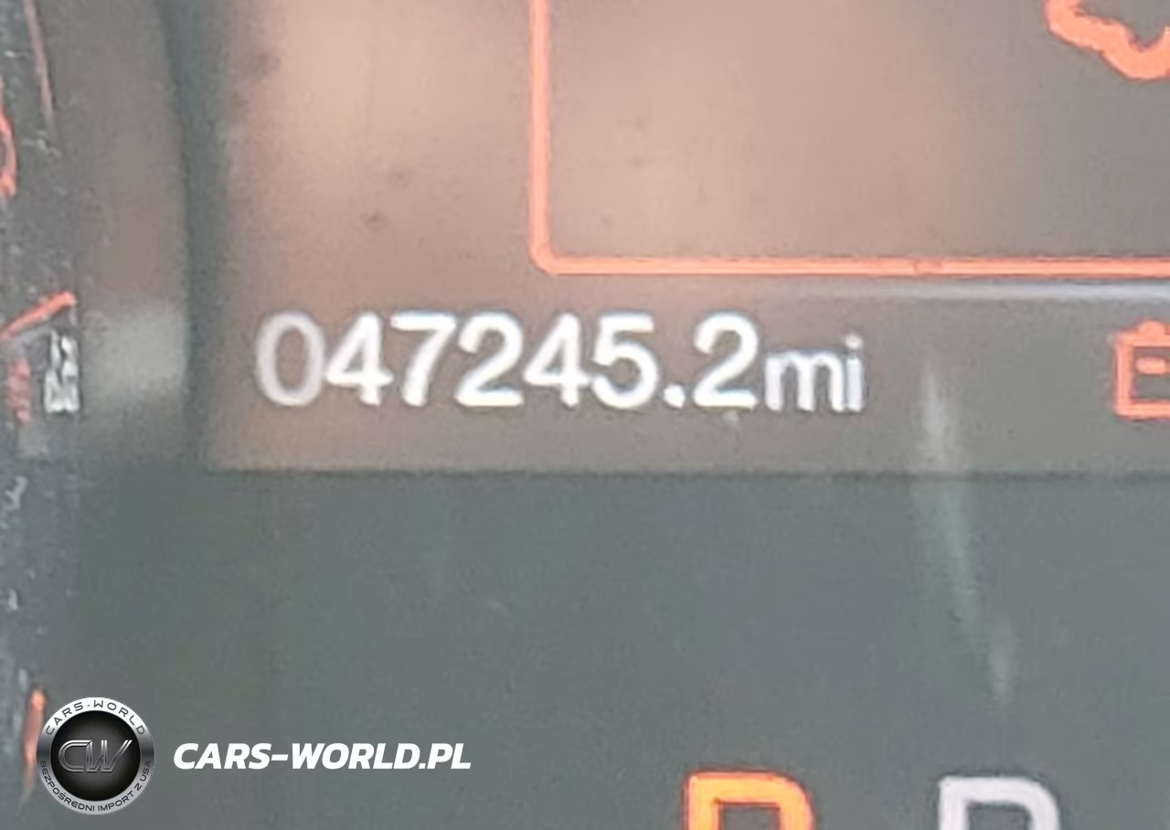 2019 Ford Mustang Ecoboost Premium VIN:1FA6P8THXK5195610 - 12