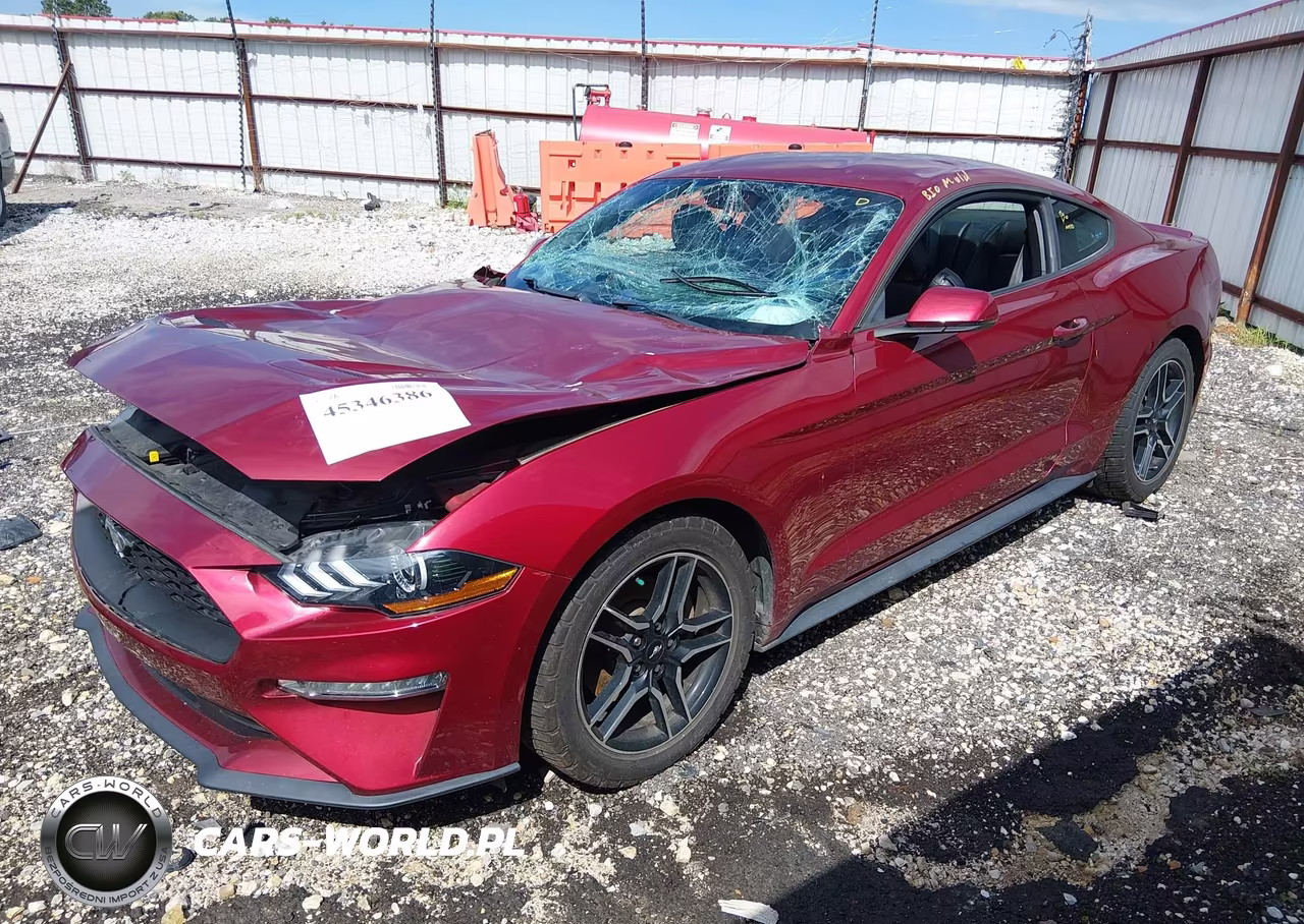 2019 Ford Mustang Ecoboost Premium VIN:1FA6P8THXK5195610 - 2