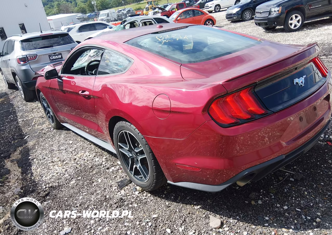 2019 Ford Mustang Ecoboost Premium VIN:1FA6P8THXK5195610 - 3