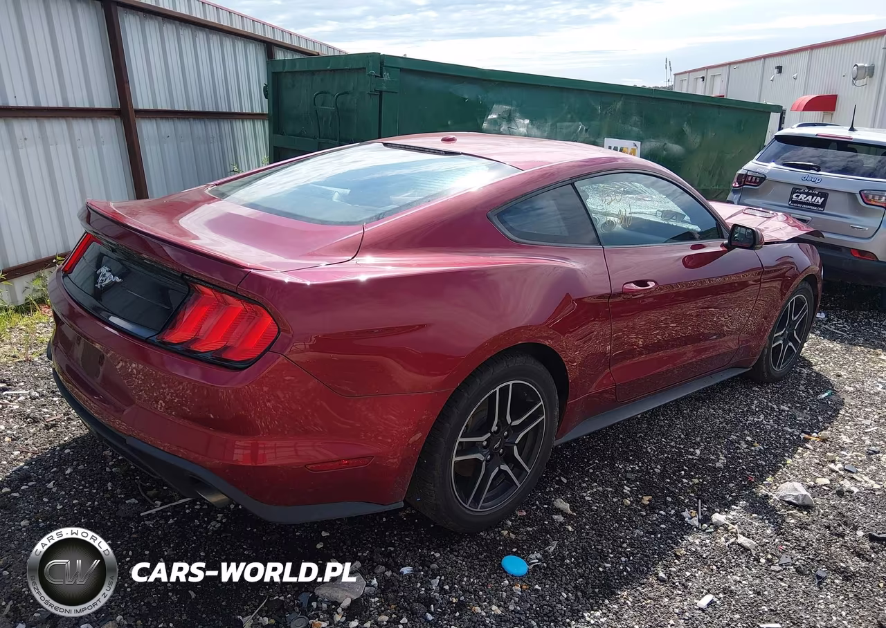 2019 Ford Mustang Ecoboost Premium VIN:1FA6P8THXK5195610 - 4