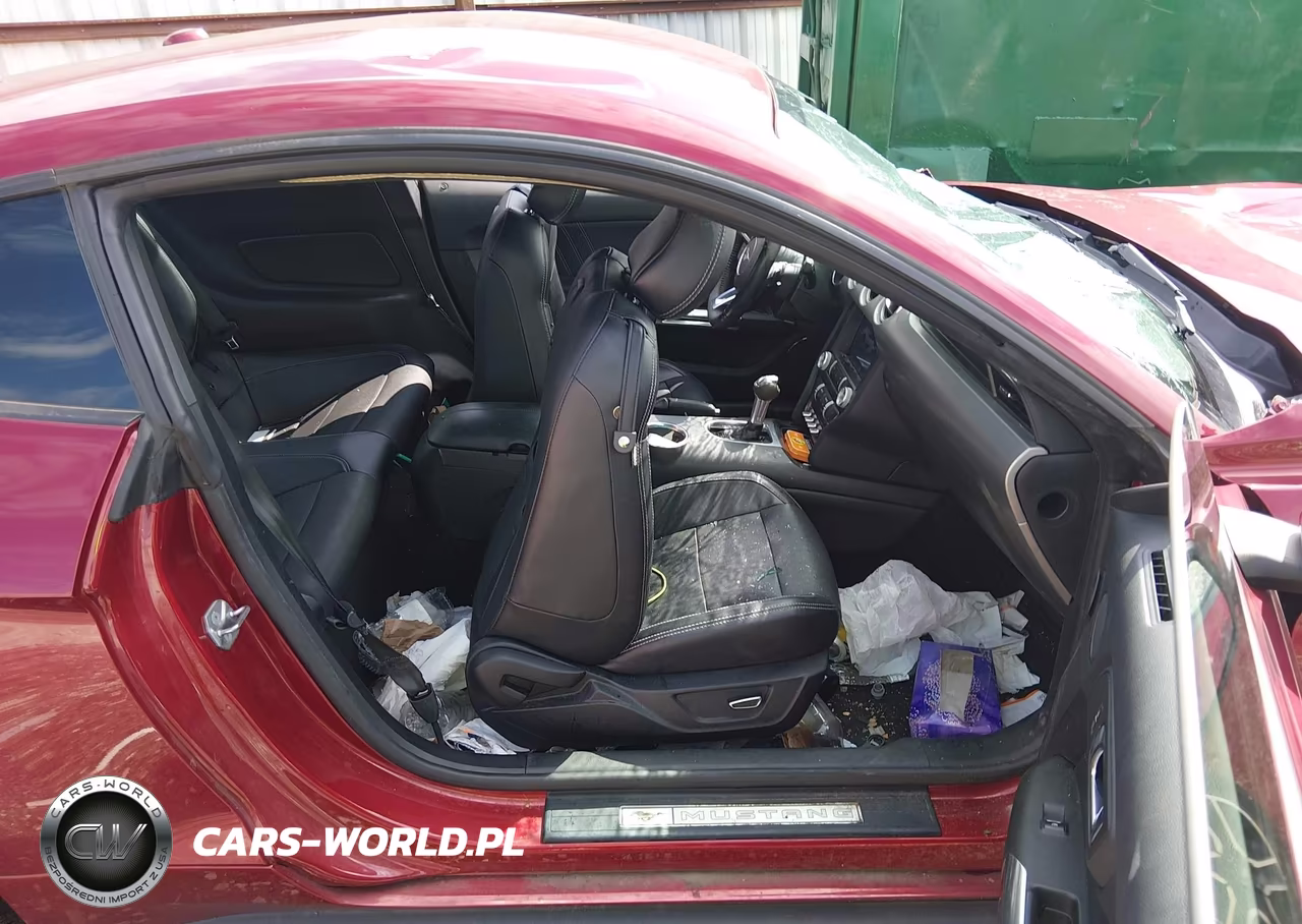 2019 Ford Mustang Ecoboost Premium VIN:1FA6P8THXK5195610 - 5