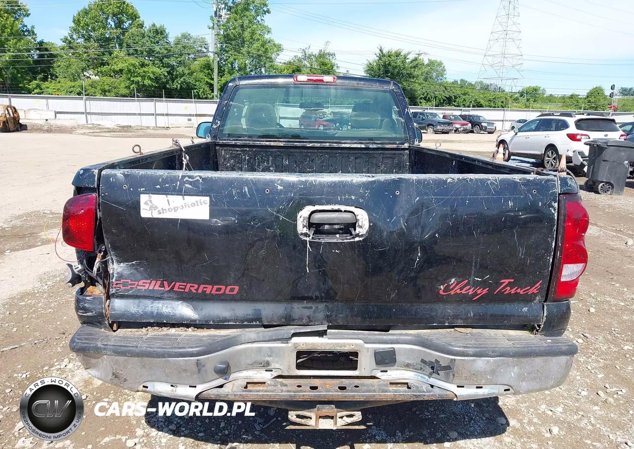 2006 Chevrolet Silverado 1500 Work Truck VIN:3GCEC14X56G261607 - 17