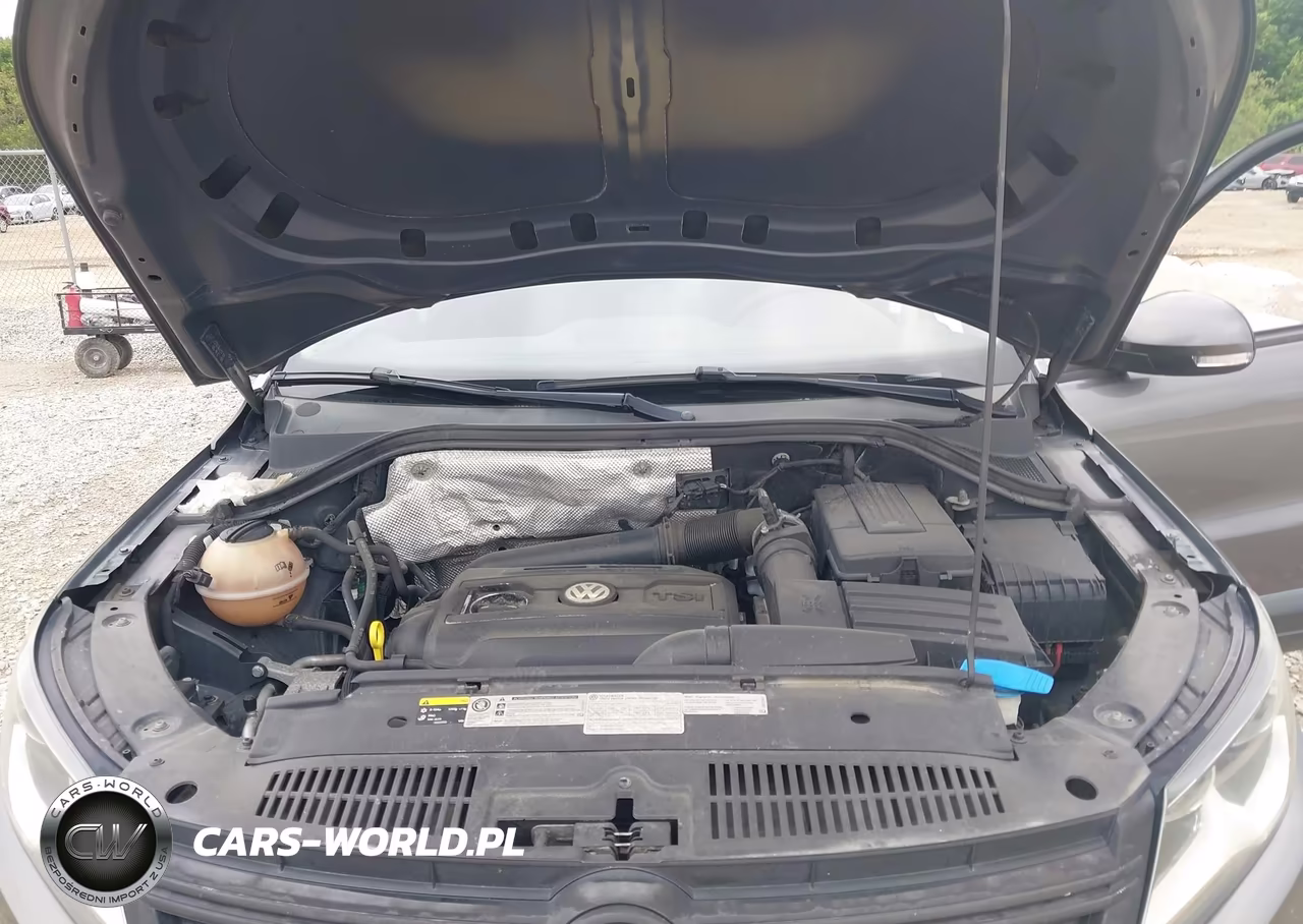 2014 Volkswagen Tiguan S VIN:WVGAV3AX8EW541087 - 10
