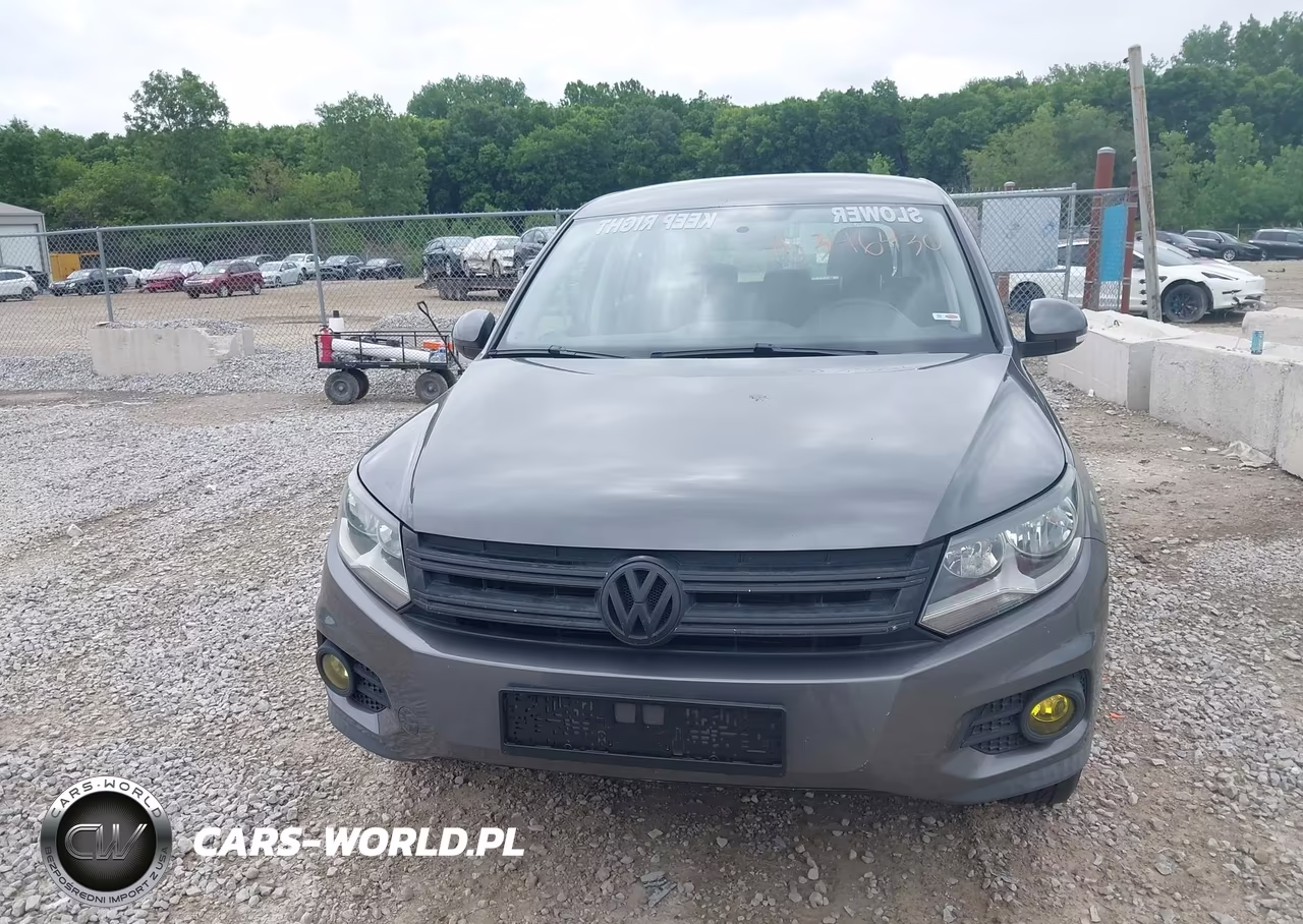2014 Volkswagen Tiguan S VIN:WVGAV3AX8EW541087 - 6
