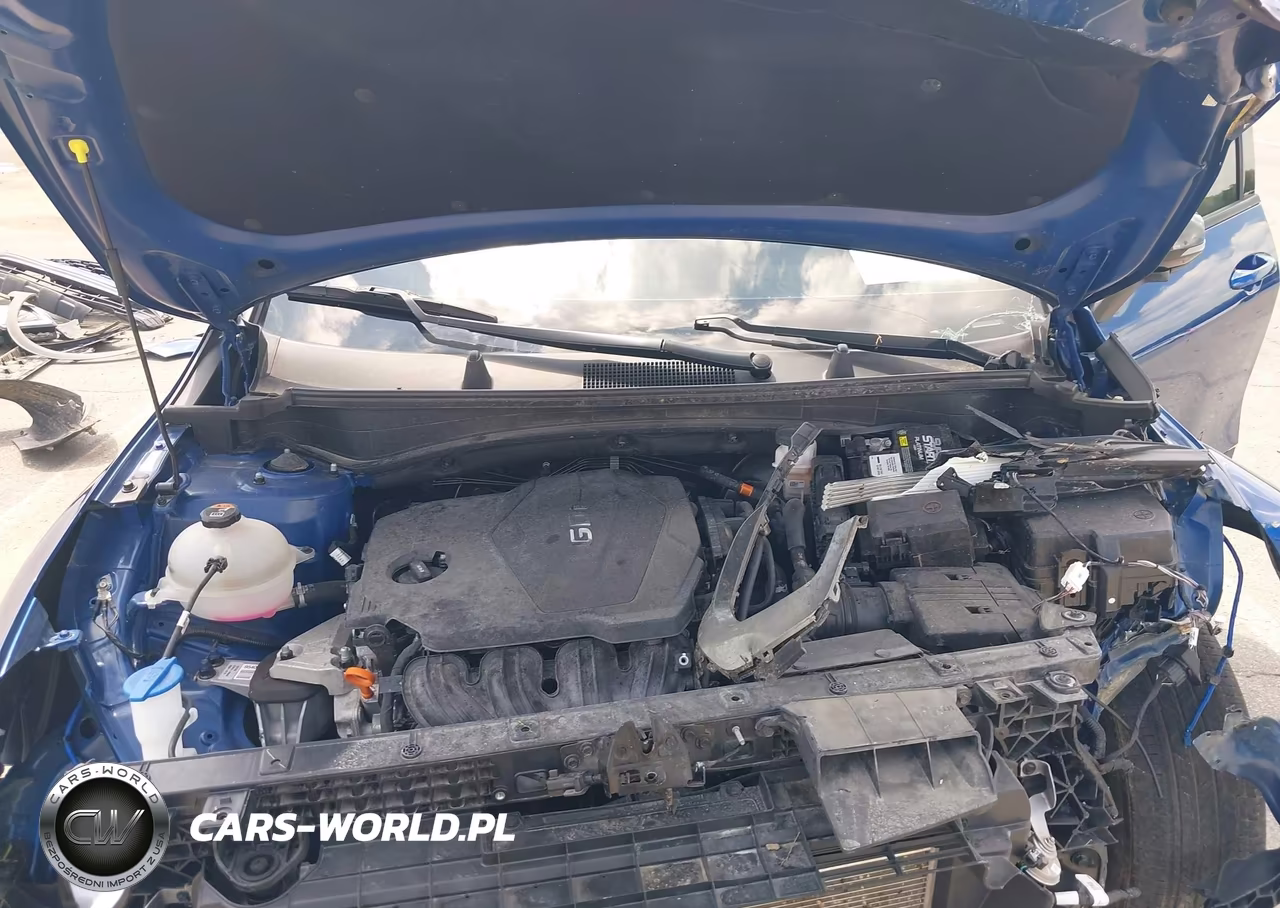 2023 Kia Sportage X-Line VIN:5XYK6CAF8PG128857 - 10