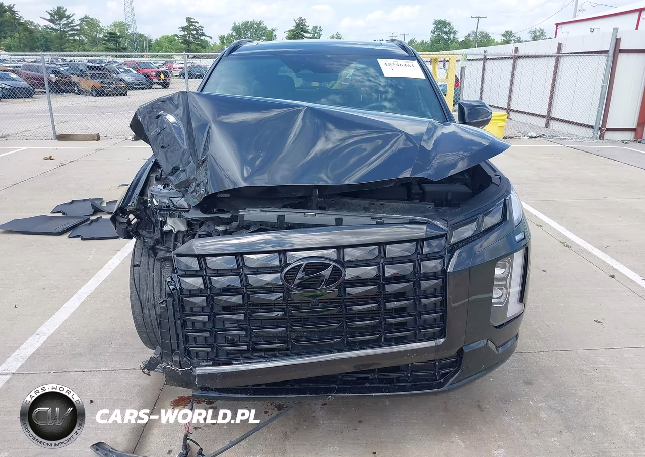 2024 Hyundai Palisade Calligraphy Night Edition VIN:KM8R7DGE9RU734309 - 12
