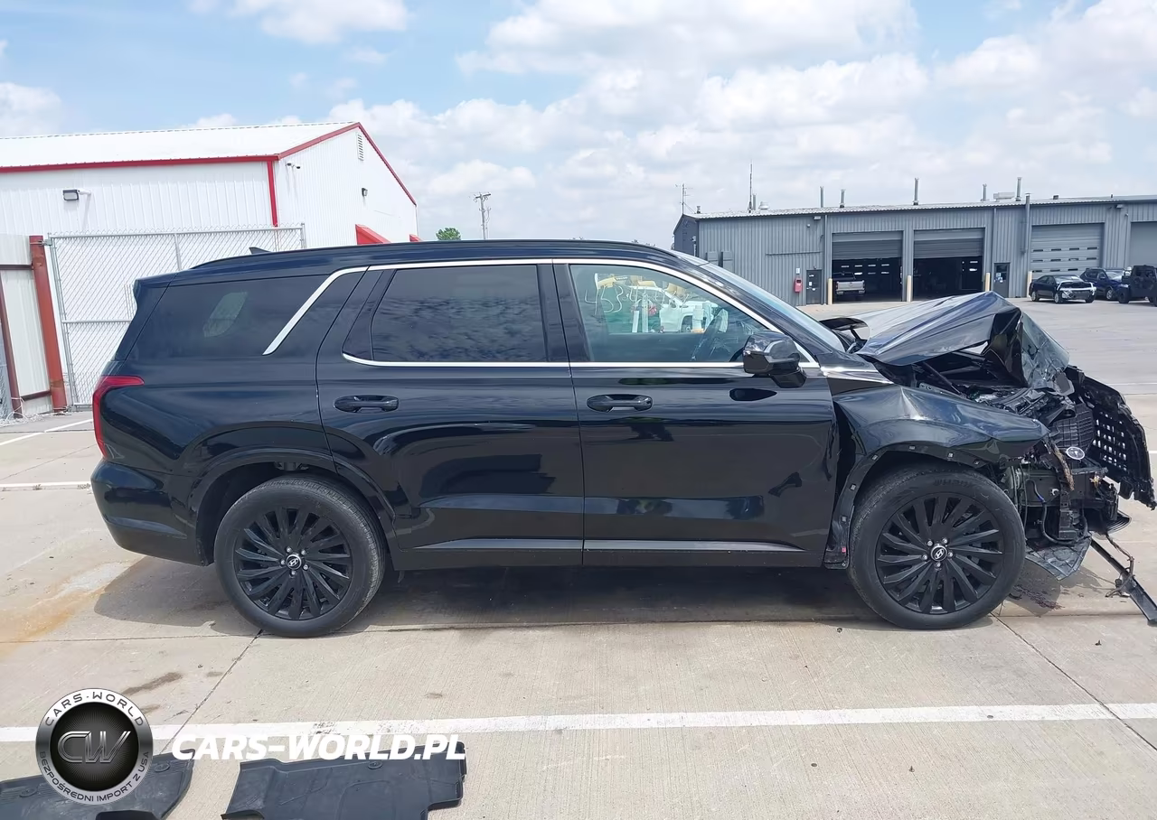 2024 Hyundai Palisade Calligraphy Night Edition VIN:KM8R7DGE9RU734309 - 13