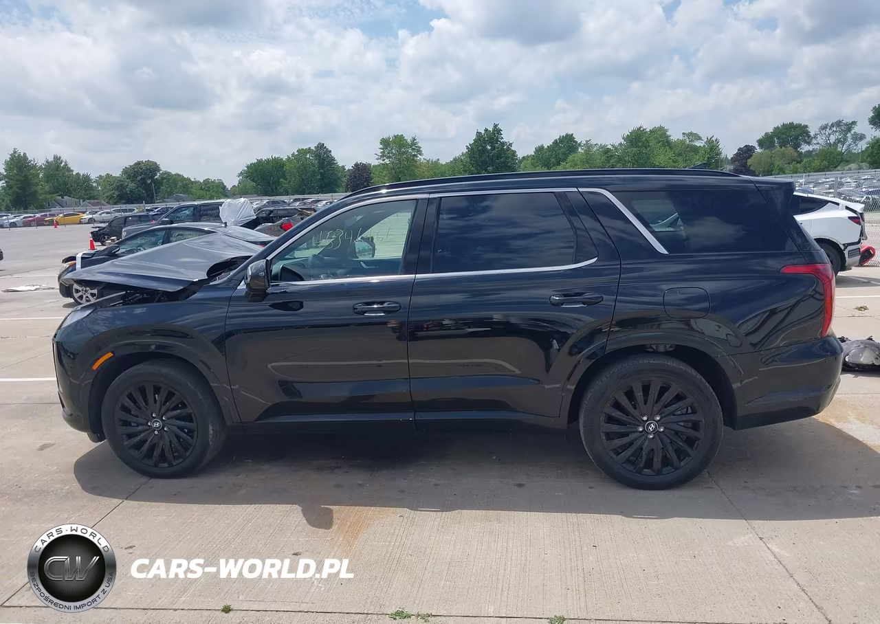 2024 Hyundai Palisade Calligraphy Night Edition VIN:KM8R7DGE9RU734309 - 14