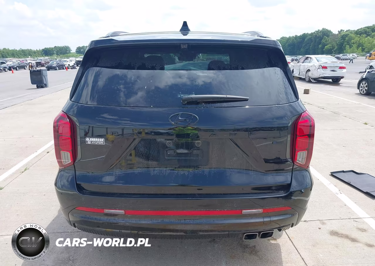 2024 Hyundai Palisade Calligraphy Night Edition VIN:KM8R7DGE9RU734309 - 16