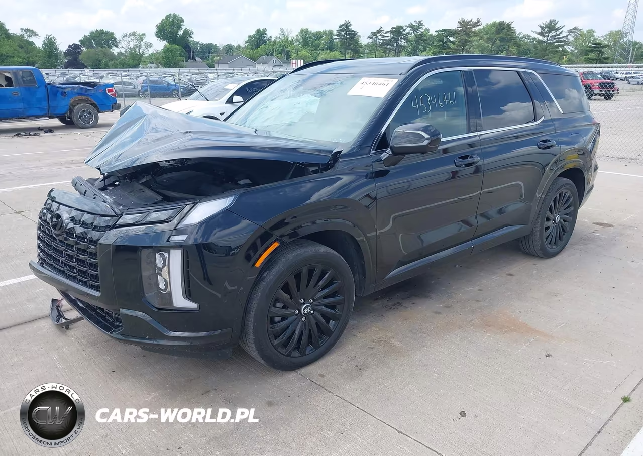 2024 Hyundai Palisade Calligraphy Night Edition VIN:KM8R7DGE9RU734309 - 2
