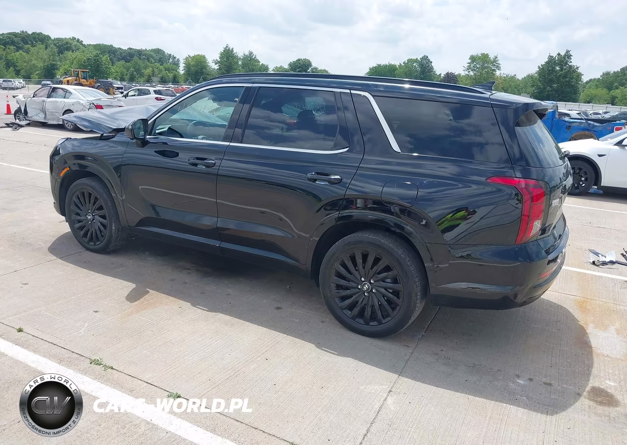 2024 Hyundai Palisade Calligraphy Night Edition VIN:KM8R7DGE9RU734309 - 3