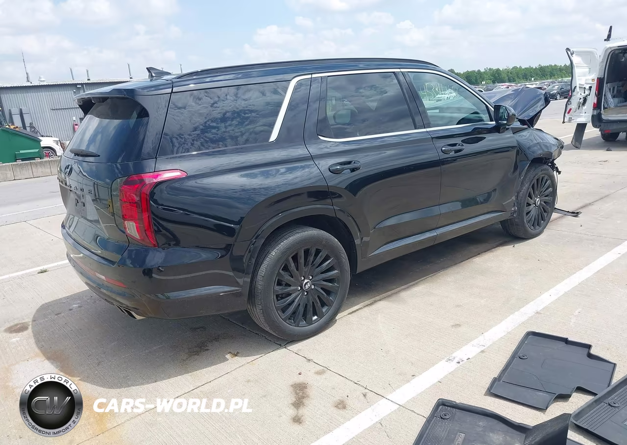 2024 Hyundai Palisade Calligraphy Night Edition VIN:KM8R7DGE9RU734309 - 4