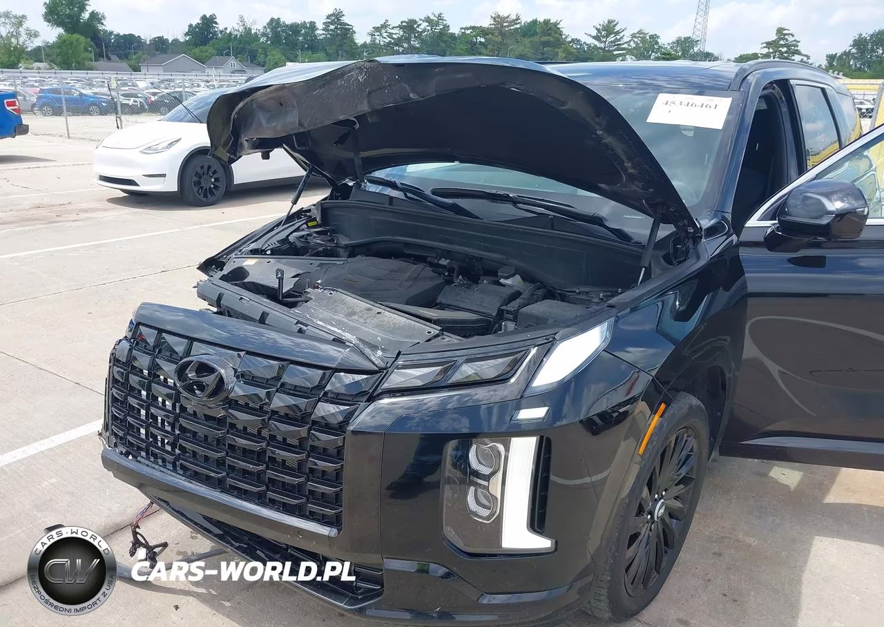 2024 Hyundai Palisade Calligraphy Night Edition VIN:KM8R7DGE9RU734309 - 6