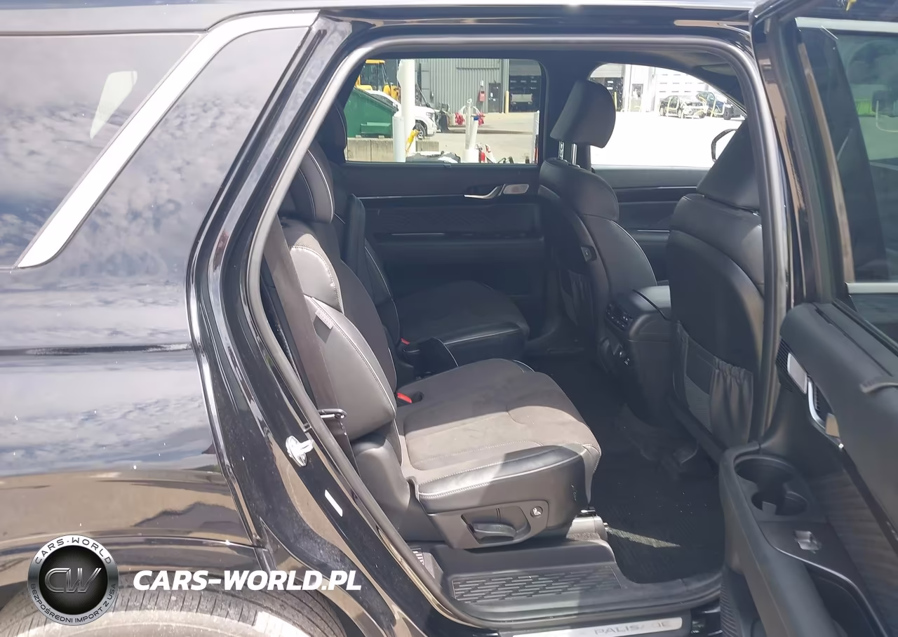 2024 Hyundai Palisade Calligraphy Night Edition VIN:KM8R7DGE9RU734309 - 8
