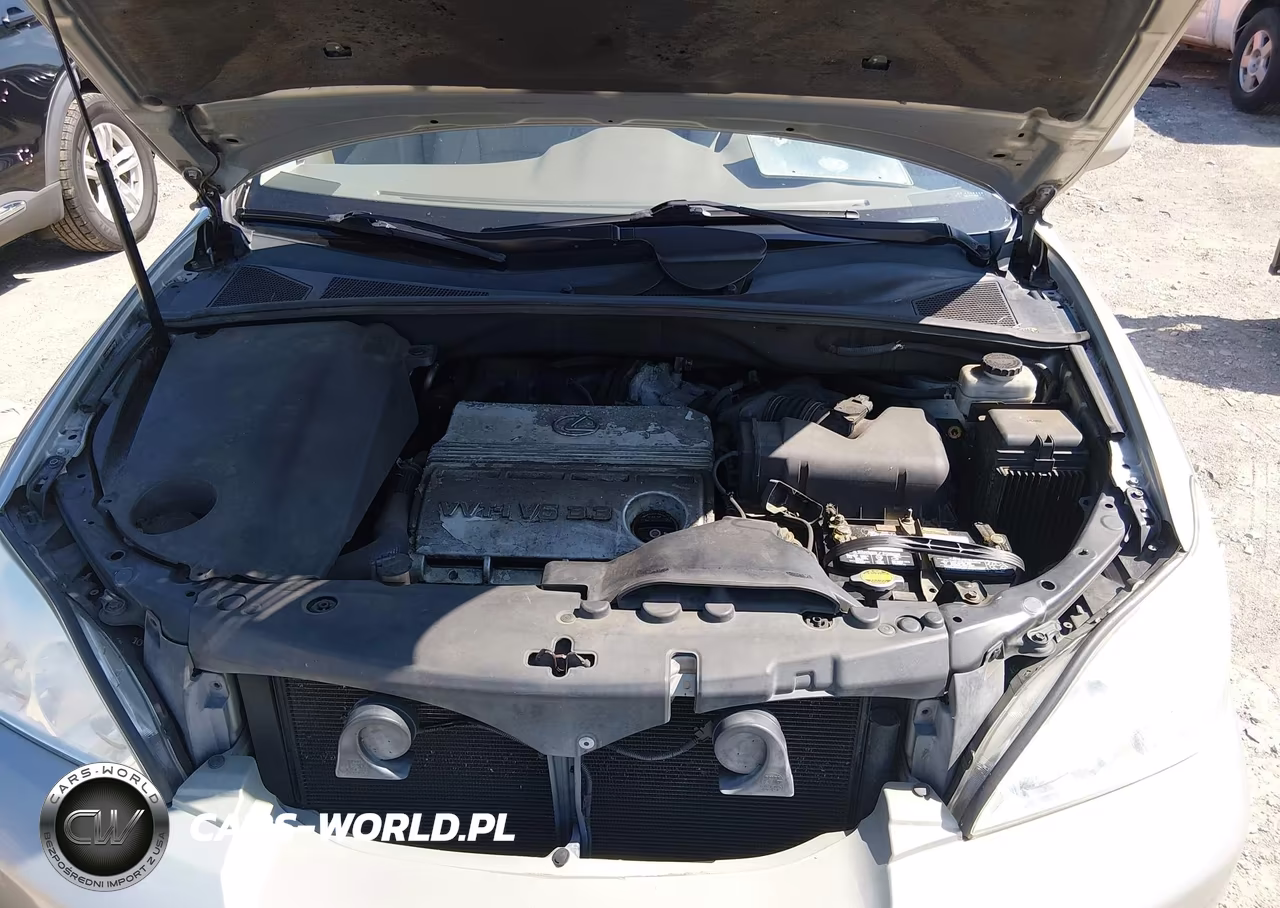 2004 Lexus Rx 330 VIN:2T2GA31U84C013987 - 10