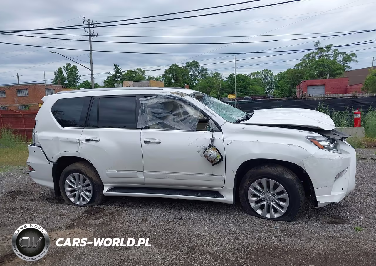 2019 Lexus Gx 460 Premium VIN:JTJBM7FX1K5220972 - 13