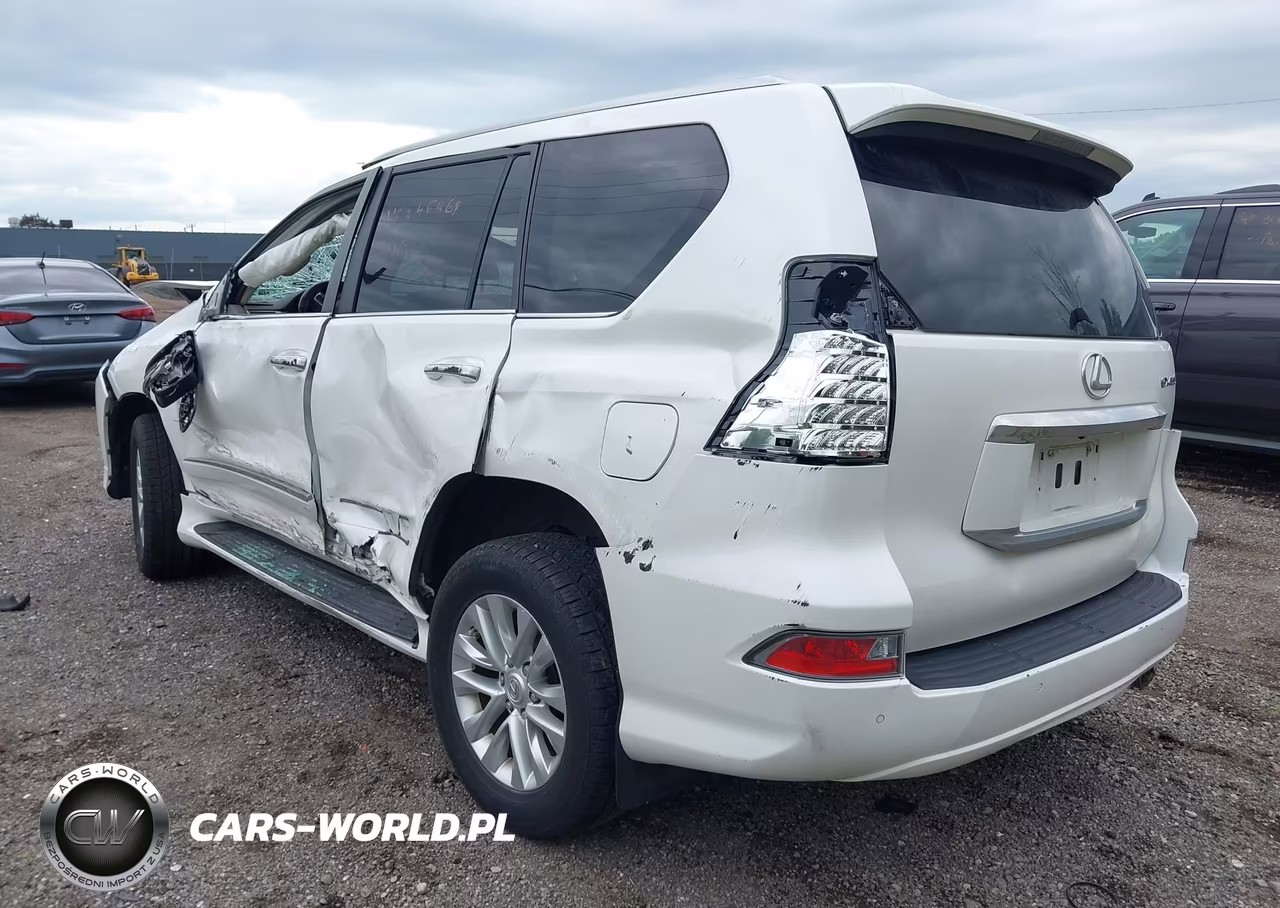 2019 Lexus Gx 460 Premium VIN:JTJBM7FX1K5220972 - 3